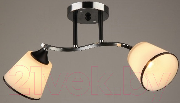 Изображение товара Потолочный светильник Mirastyle SX-N-0600/2 CH+BK