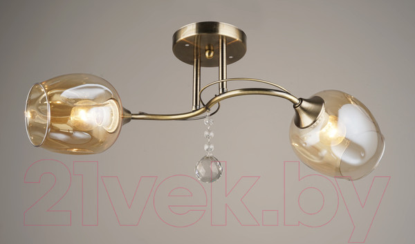 Изображение товара Потолочный светильник Mirastyle SX-N-3828/2