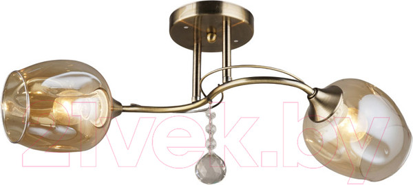 Изображение товара Потолочный светильник Mirastyle SX-N-3828/2