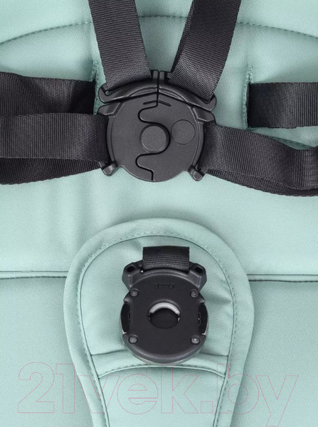 Изображение товара Детская универсальная коляска Rant Falcon 2 в 1 / RA097 (зеленый)