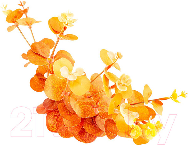 Изображение товара Искусственный букет Вещицы Эвкалипт / Fancy83 (прозрачный)