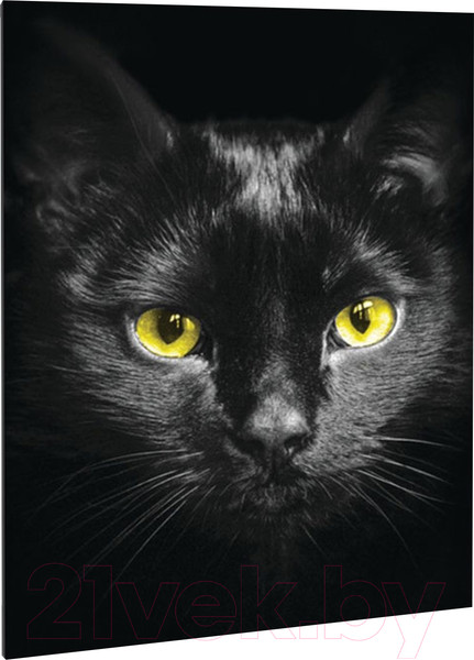 Изображение товара Набор алмазной вышивки Школа талантов Черный кот / 3690742