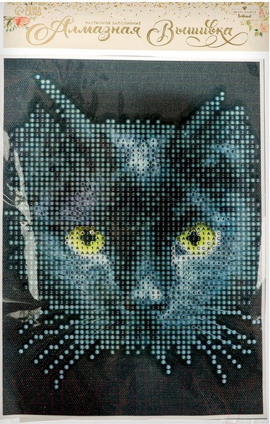 Изображение товара Набор алмазной вышивки Школа талантов Черный кот / 3690742