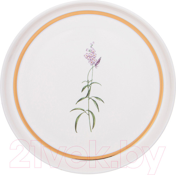 Изображение товара Тарелка столовая обеденная Lefard Grassland 590-492