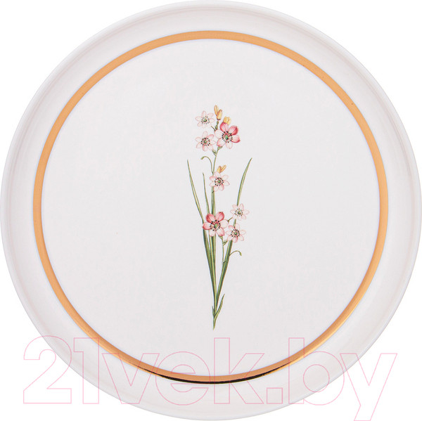 Изображение товара Тарелка столовая обеденная Lefard Grassland 590-494