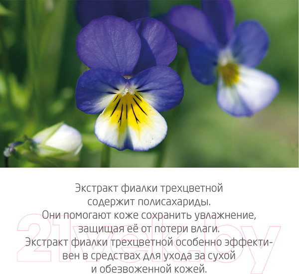 Изображение товара Молочко для тела Weleda Skin Food (200мл)