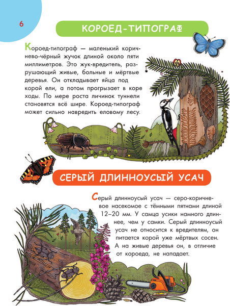 Изображение товара Энциклопедия АСТ Первая энциклопедия почемучки. Мир вокруг