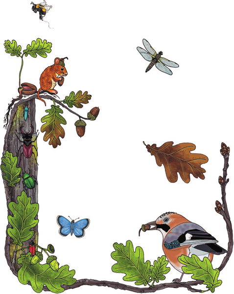 Изображение товара Энциклопедия АСТ Первая энциклопедия почемучки. Мир вокруг