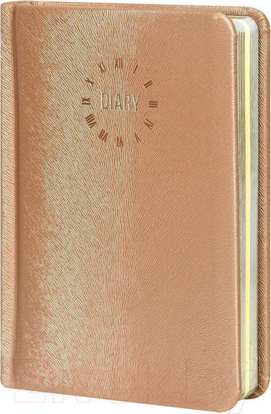 Изображение товара Ежедневник inФормат Фиеста / IFDN-FSTA6/Be (160л, бежевый)