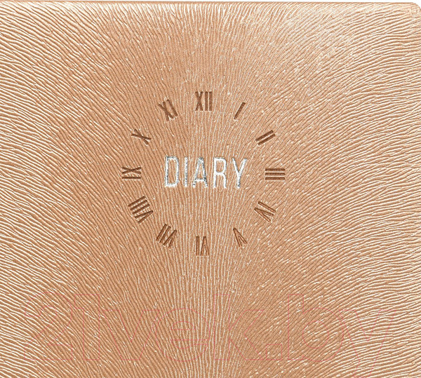 Изображение товара Ежедневник inФормат Фиеста / IFDN-FSTA6/Be (160л, бежевый)