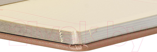 Изображение товара Ежедневник inФормат Фиеста / IFDN-FSTA6/Be (160л, бежевый)