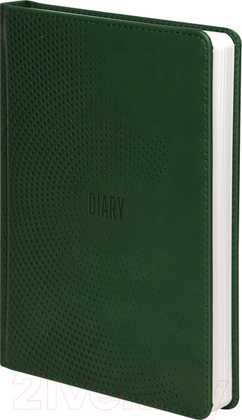 Изображение товара Ежедневник inФормат Бизнес / IFDN-BSA5/Gr (176л, зеленый)