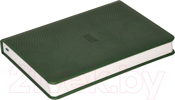 Изображение товара Ежедневник inФормат Бизнес / IFDN-BSA5/Gr (176л, зеленый)