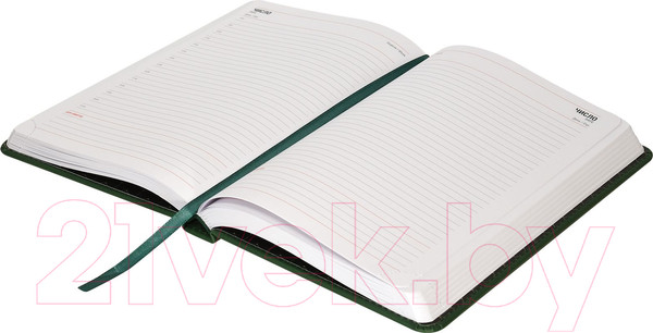 Изображение товара Ежедневник inФормат Бизнес / IFDN-BSA5/Gr (176л, зеленый)