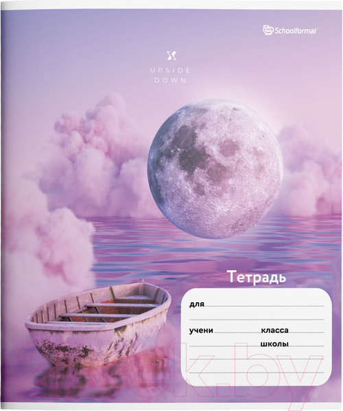 Изображение товара Набор тетрадей Schoolformat Микс для девочек / ТШЛ24-МДД-НМП (20шт)