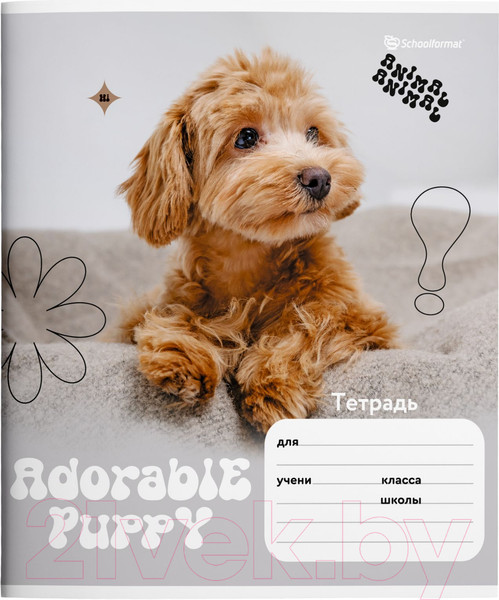 Изображение товара Набор тетрадей Schoolformat Микс для девочек / ТШЛ24-МДД-НМП (20шт)