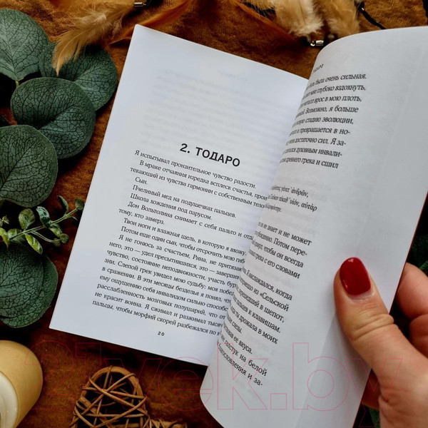 Изображение товара Книга Inspiria Командир (Веронези С., де Анджелис Э.)