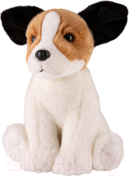 Изображение товара Мягкая игрушка Maxitoys Maxi Life Собака Джек рассел / ML-SO-130222-25-5
