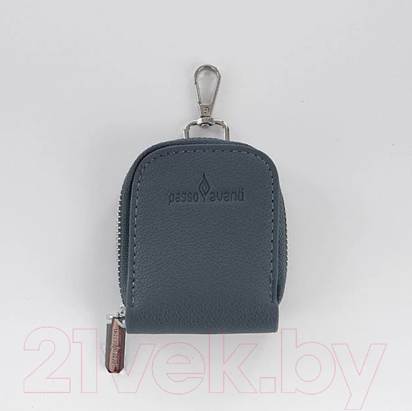 Изображение товара Сумка Passo Avanti 877-663-802-DBL (синий)