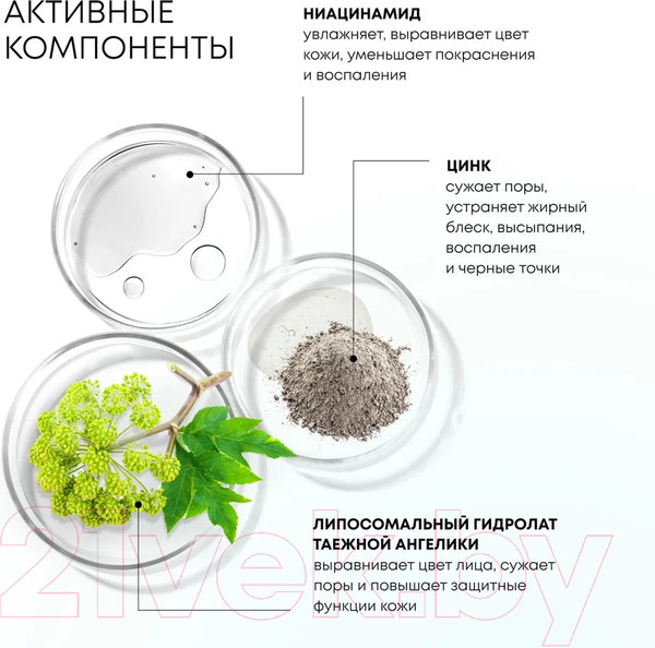 Изображение товара Гель для умывания Natura Siberica Lab Biome Детокс (150мл)