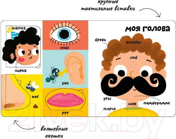 Изображение товара Развивающая книга Робинс Мои первые 100 слов с окошками. Мое тело