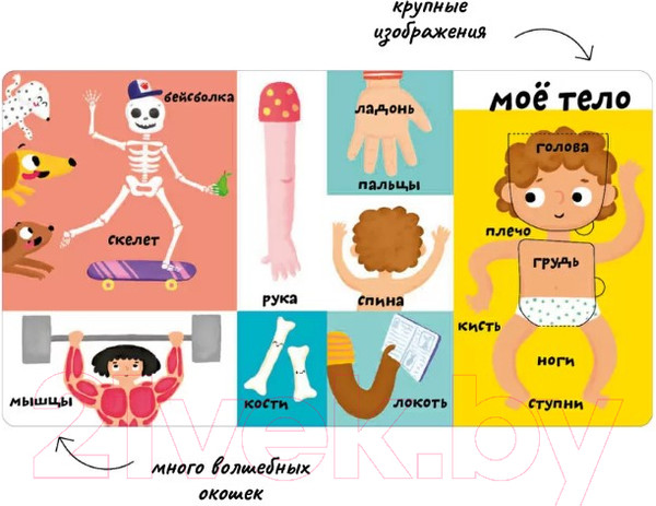 Изображение товара Развивающая книга Робинс Мои первые 100 слов с окошками. Мое тело