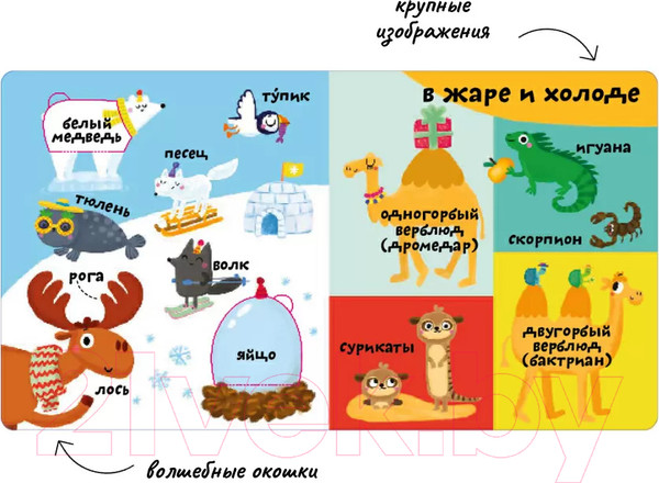 Изображение товара Развивающая книга Робинс Мои первые 100 слов с окошками. Такие разные животные