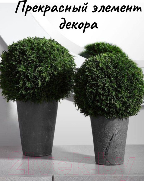 Изображение товара Искусственное растение Merry Bear Home Decor Туя шаровидная / KDA0255