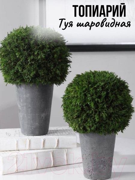 Изображение товара Искусственное растение Merry Bear Home Decor Туя шаровидная / KDA0255