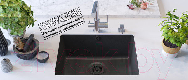 Изображение товара Мойка кухонная Aquasanita Arca SQA102W (металлик)