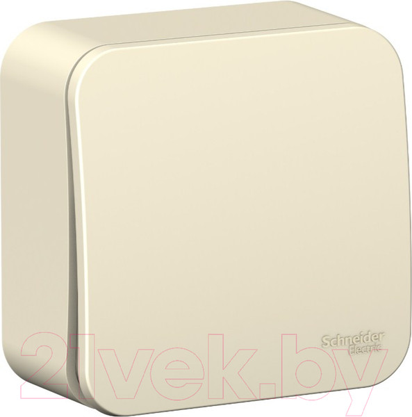 Изображение товара Выключатель Systeme (Schneider) Electric Blanca BLNVA101012