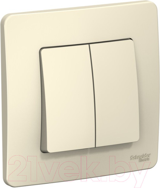 Изображение товара Выключатель Systeme (Schneider) Electric Blanca BLNVS010502