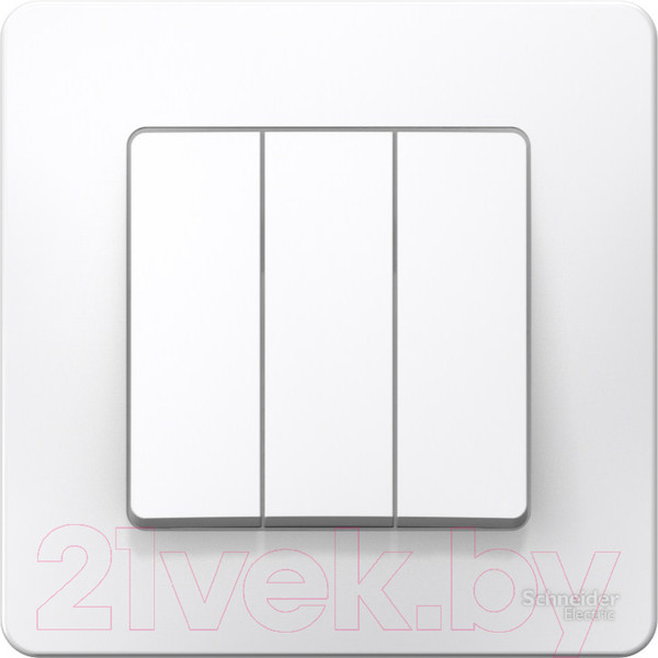 Изображение товара Выключатель Systeme (Schneider) Electric Blanca BLNVS100501