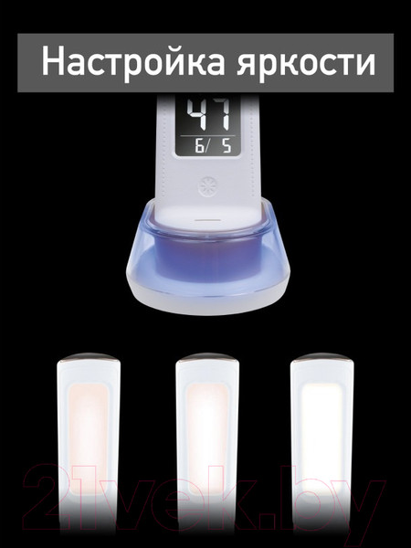 Изображение товара Настольная лампа Dendy 530-DL White Snake+RGB