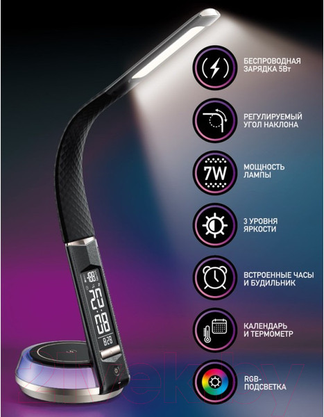 Изображение товара Настольная лампа Dendy 540-DL Black Swan+RGB