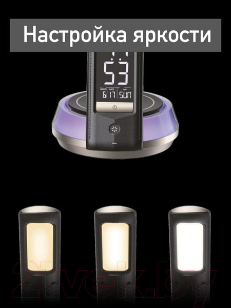 Изображение товара Настольная лампа Dendy 540-DL Black Swan+RGB