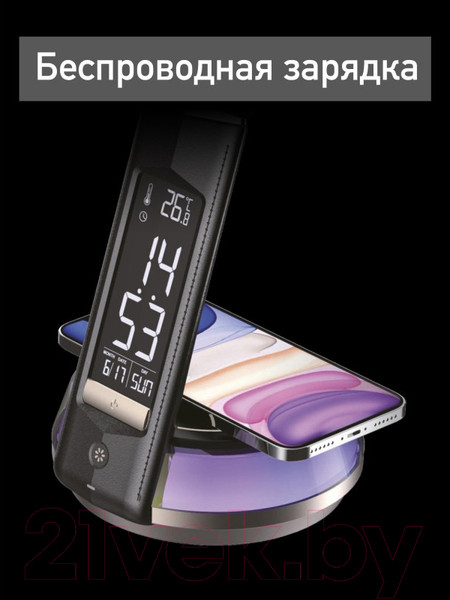 Изображение товара Настольная лампа Dendy 540-DL Black Swan+RGB