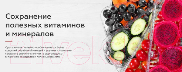 Изображение товара Сушилка для овощей и фруктов BQ FD1003 (черный/сталь)