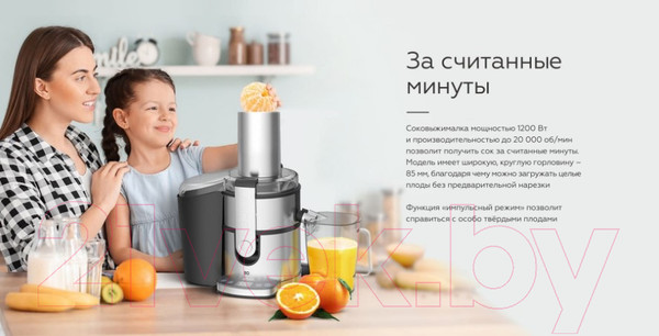 Изображение товара Соковыжималка электрическая BQ J1007 (сталь/черный)