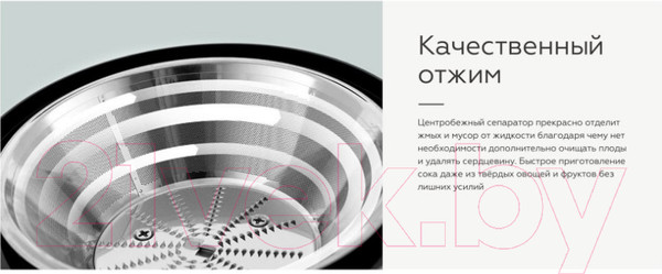 Изображение товара Соковыжималка электрическая BQ J1007 (сталь/черный)