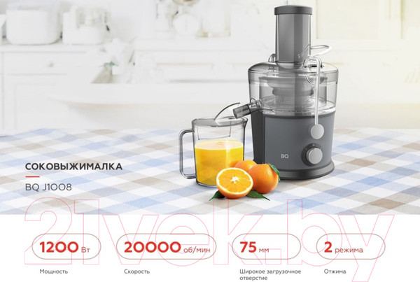 Изображение товара Соковыжималка электрическая BQ J1008 (серый/черный)