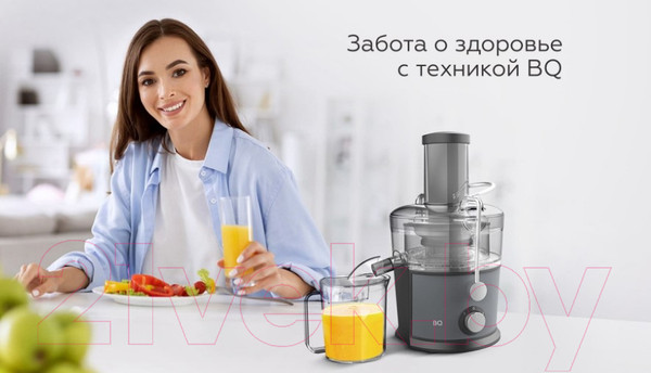 Изображение товара Соковыжималка электрическая BQ J1008 (серый/черный)