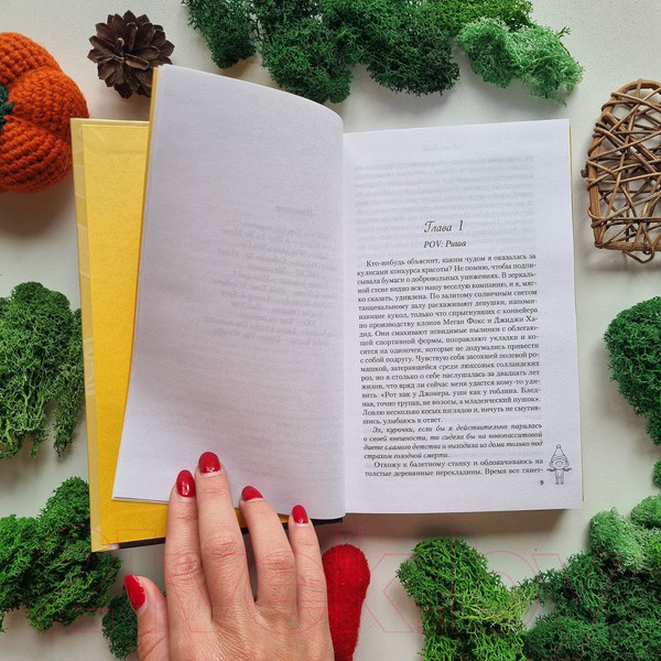 Изображение товара Книга Like Book Риша решает! (Хилл А.)