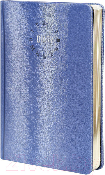 Изображение товара Ежедневник inФормат Фиеста / IFDN-FSTA5/Bl (176л, синий)