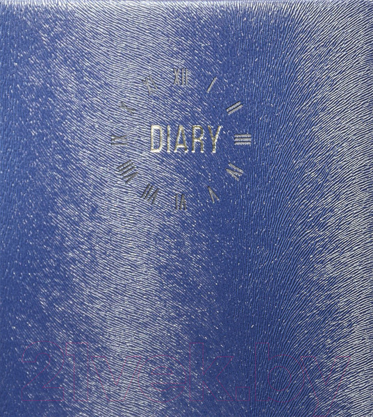 Изображение товара Ежедневник inФормат Фиеста / IFDN-FSTA5/Bl (176л, синий)