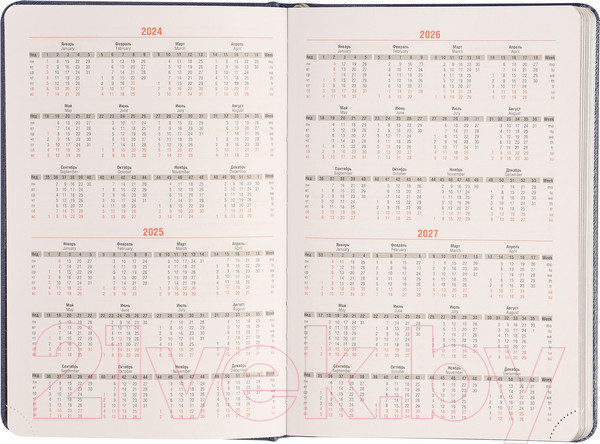 Изображение товара Ежедневник inФормат Фиеста / IFDN-FSTA5/Bl (176л, синий)