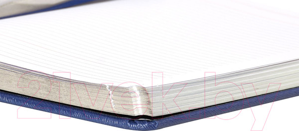Изображение товара Ежедневник inФормат Фиеста / IFDN-FSTA5/Bl (176л, синий)