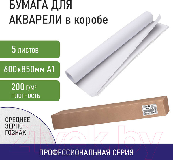 Изображение товара Набор бумаги для рисования Brauberg Art / 114488 (5л)