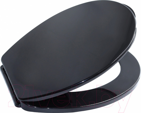 Изображение товара Сиденье для унитаза Bisk Iris 08447 (черный)