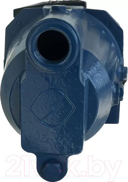 Изображение товара Поверхностный насос Maxpump JSW 900D